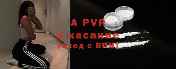 сатива Баксан