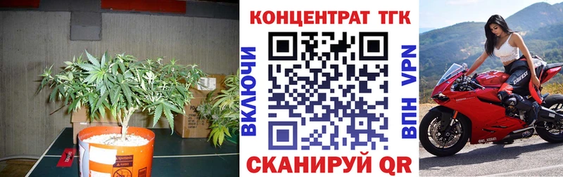 магазин продажи наркотиков  Гдов  ТГК гашишное масло 