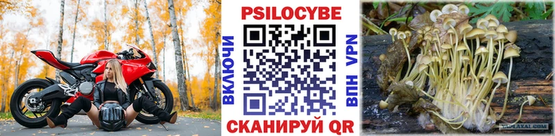 Галлюциногенные грибы Magic Shrooms  мега   Гдов 